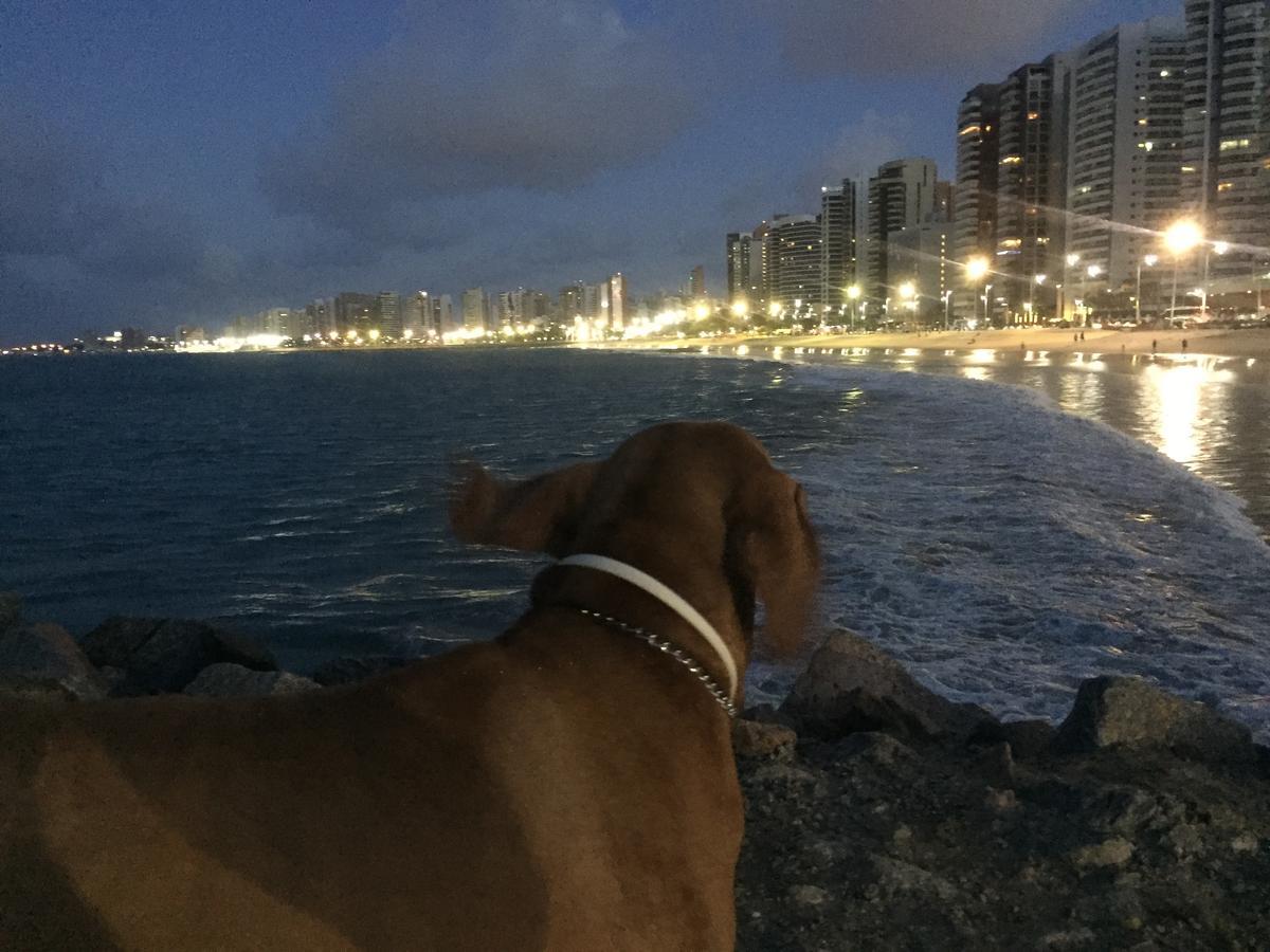 Apartamento Na Melhor Localizacao De Fortaleza!! Ngoại thất bức ảnh